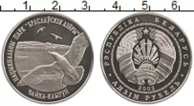 Монета рубль Беларуси 2003 года Медно-никель Чайка-кликун