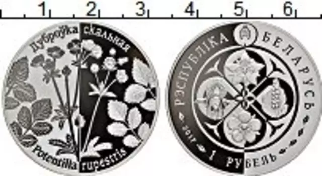 Монета рубль Беларуси 2017 года Медно-никель Дубровка скальная