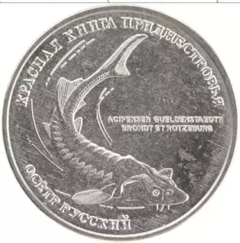Монета рубль Приднестровья 2018 года Медно-никель Красная книга Приднестровья, Осетр Русский