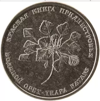 Монета рубль Приднестровья 2019 года Медно-никель Красная книга Приднестровья, Водный орех