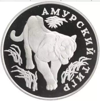 Монета рубль России 1993 года Серебро Красная книга - Амурский тигр