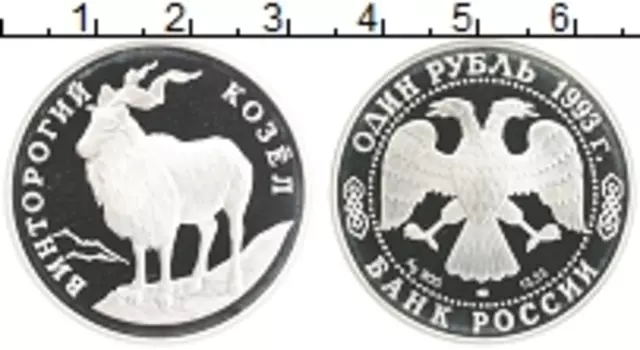 Монета рубль России 1993 года Серебро Винторогий козел