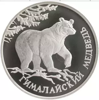 Монета рубль России 1994 года Серебро Красная Книга - Гималайский медведь