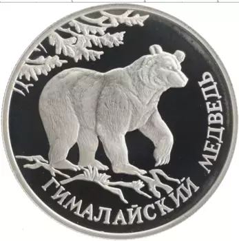 Монета рубль России 1994 года Серебро Красная книга - Гималайский медведь