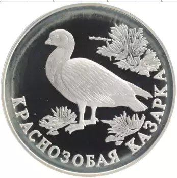 Монета рубль России 1994 года Серебро Красная книга - Краснозобая казарка
