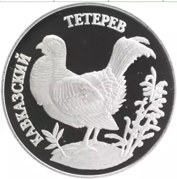 Монета рубль России 1995 года Серебро Красная книга - Кавказский тетерев
