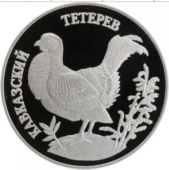 Монета рубль России 1995 года Серебро Красная книга - Кавказский тетерев