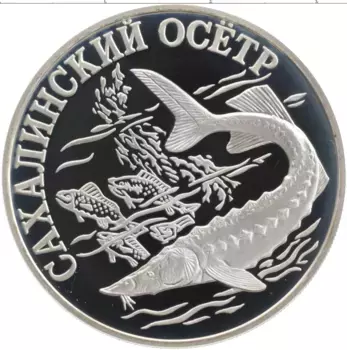 Монета рубль России 2001 года Серебро Красная книга - Сахалинский осетр