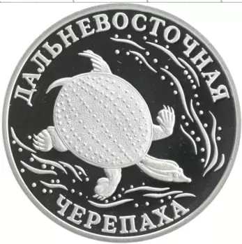 Монета рубль России 2003 года Серебро Красная книга - Дальневосточная черепаха