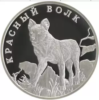 Монета рубль России 2005 года Серебро Красная книга