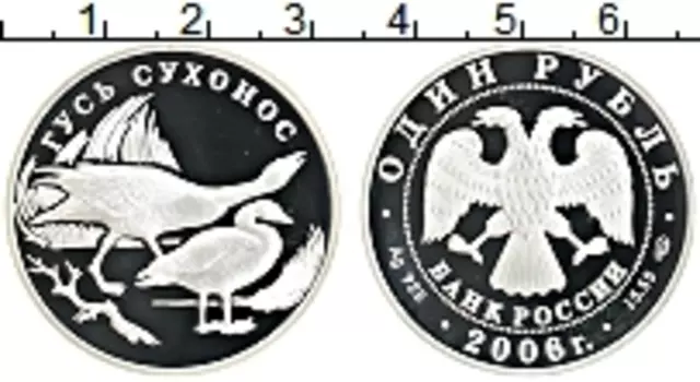 Монета рубль России 2006 года Серебро Гусь сухонос