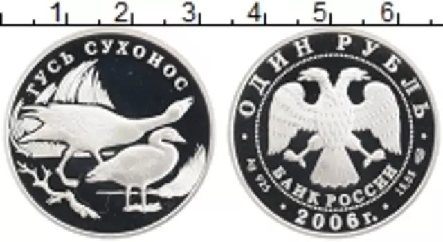 Монета рубль России 2006 года Серебро Гусь сухонос