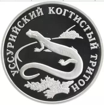 Монета рубль России 2006 года Серебро Красная книга - Уссурийский когтистый тритон