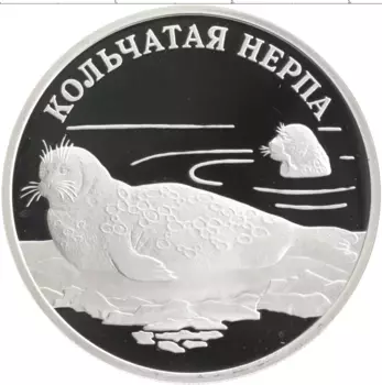 Монета рубль России 2007 года Серебро Красная книга - Кольчатая нерпа