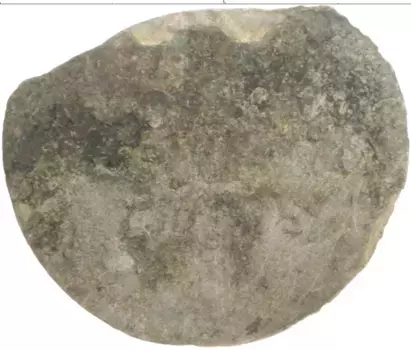 Монета шиллинг Гамбурга Серебро