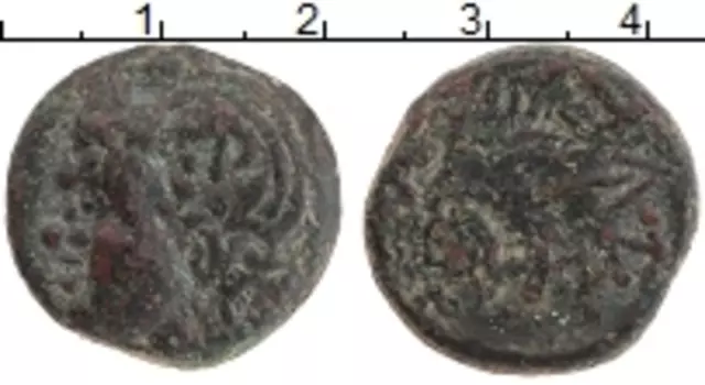 Монета тетрахалк Пантикопея Медь `284-275 гг