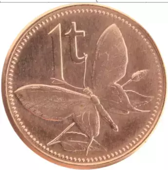 Монета тоа Папуа-Новой Гвинеи 2004 года Бронза