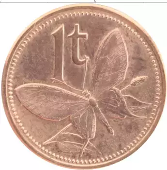 Монета тоа Папуа-Новой Гвинеи 2004 года Бронза