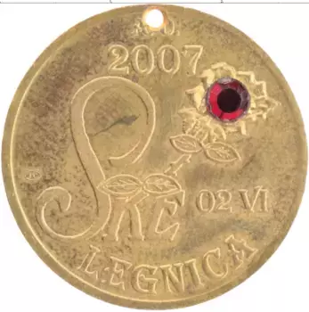 Монета Жетон Польши 2007 года Латунь История Польши