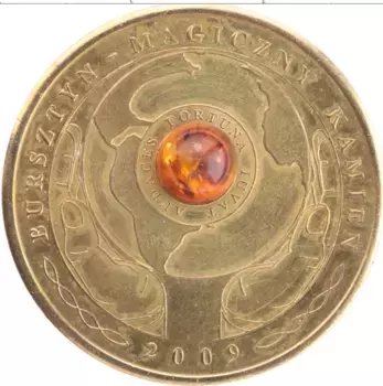 Монета Жетон Польши 2009 года Латунь История Польши
