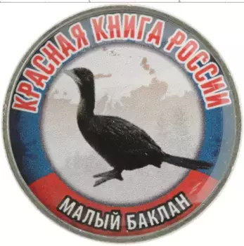 Монета Жетон России 2018 года Медно-никель Наклейка на 25 рублях 2018 года РФ
