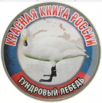 Монета Жетон России 2018 года Медно-никель Наклейка на 25 рублях 2018 года РФ