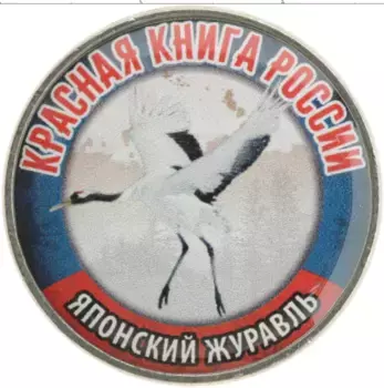 Монета Жетон России 2018 года Медно-никель Наклейка на 25 рублях 2018 года РФ