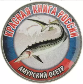 Монета Жетон России 2018 года Медно-никель Наклейка на 25 рублях 2018 года РФ