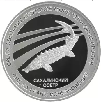 Монета Жетон России Серебро Вид на грани исчезновения - Сахалинский осетр