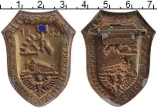 Монета Знак Третьего Рейха 1933 года Бронза Партийный съезд