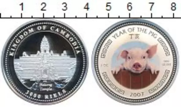 Монета 3000 риель Камбоджи 2007 года Серебро Замок