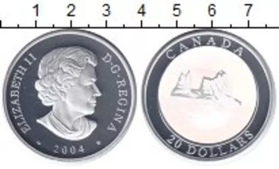 Монета 20 долларов Канады 2004 года Серебро Елизавета II