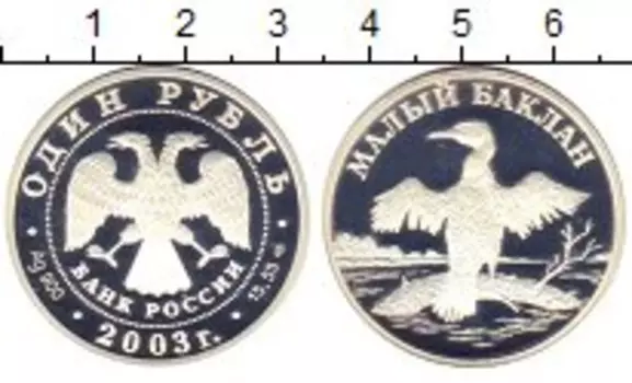 Монета рубль России 2003 года Серебро Малый баклан
