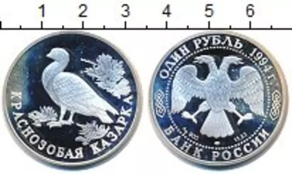 Монета рубль России 1994 года Серебро Краснозобая казарка