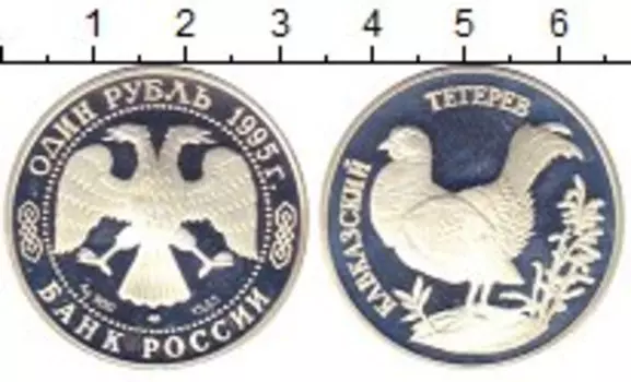 Монета рубль России 1995 года Серебро Кавказский тетерев