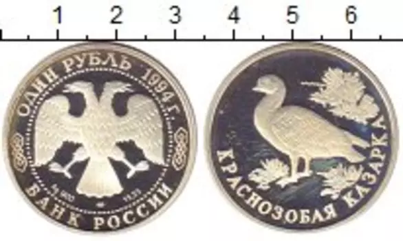 Монета рубль России 1994 года Серебро Краснозобая казарка