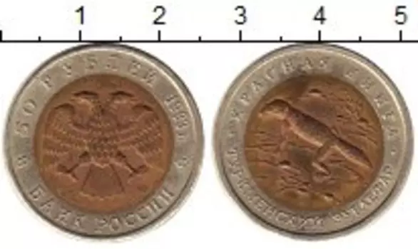 Монета 50 рублей России 1993 года Биметалл Туркменский зублефар