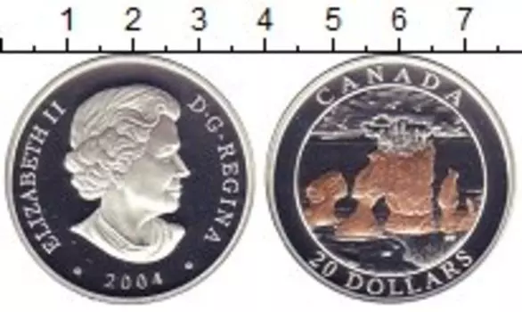 Монета 20 долларов Канады 2004 года Серебро Елизавета II