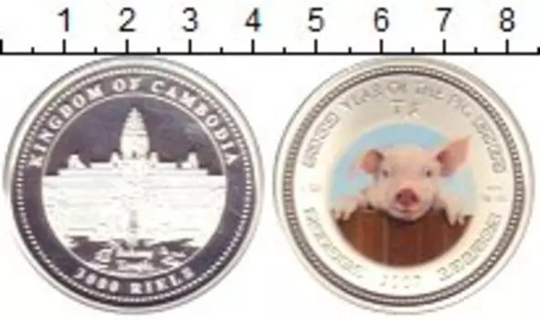 Монета 3000 риель Камбоджи 2007 года Серебро Год свиньи