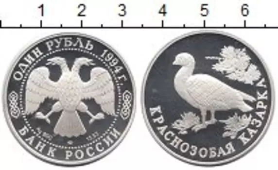 Монета рубль России 1994 года Серебро Краснозобая казарка