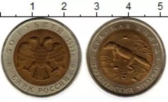 Монета 50 рублей России 1993 года Биметалл Туркменский зублефар