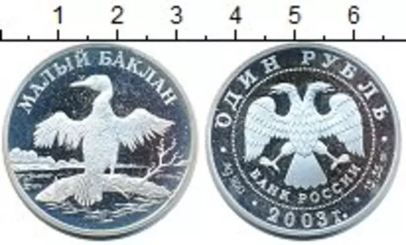Монета рубль России 2003 года Серебро Малый баклан