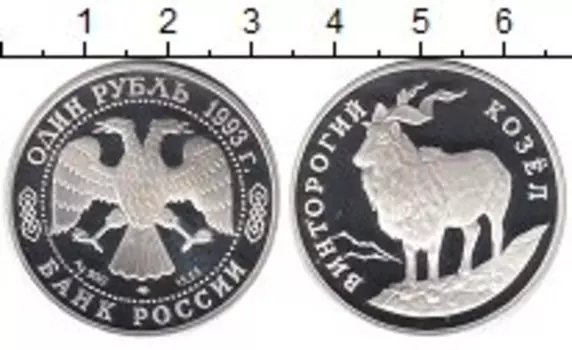 Монета рубль России 1993 года Серебро Винторогий козел