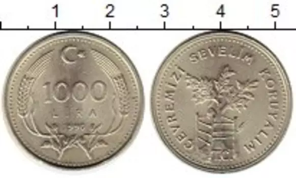 Монета 1000 лир Турции 1990 года Латунь Защита окружающей среды