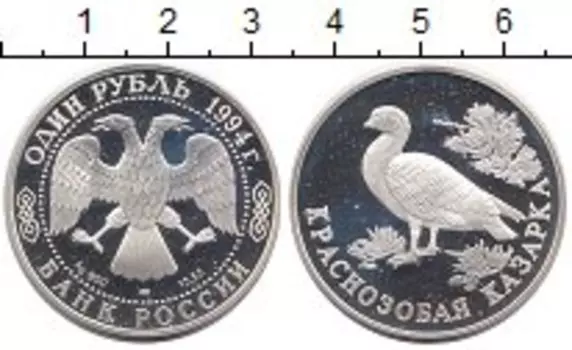 Монета рубль России 1994 года Серебро Краснозобая казарка