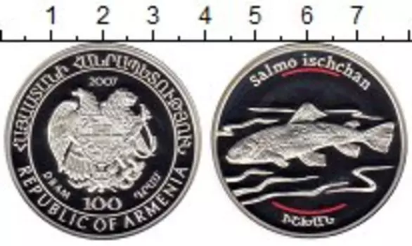 Монета 100 драм Армении 2007 года Серебро Красная книга