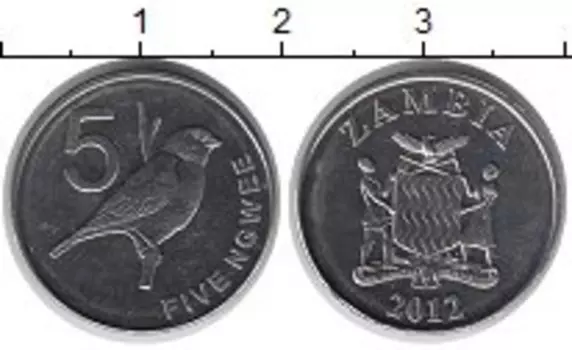 Монета 5 нгвей Замбии 2012 года Медно-никель Птица