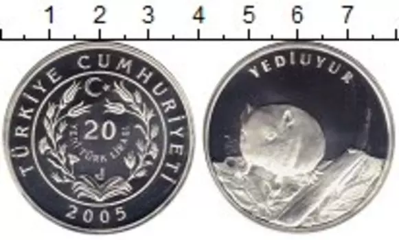 Монета 20 лир Турции 2005 года Серебро Орешниковая мушловка
