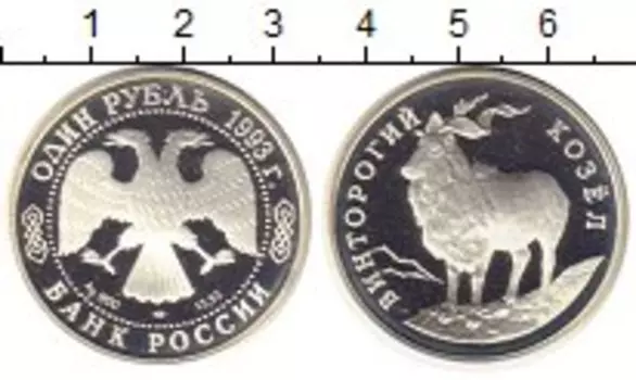 Монета рубль России 1993 года Серебро Винторогий козел спмд