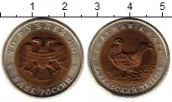 Монета 50 рублей России 1993 года Биметалл Кавказский тетерев